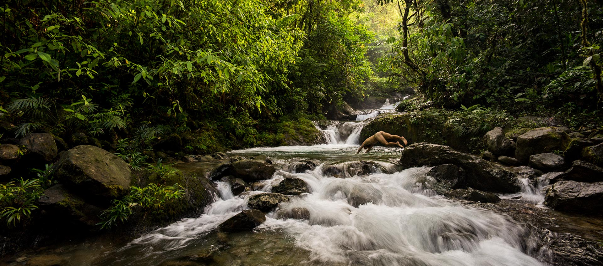Chocó Rainforest, Colombia